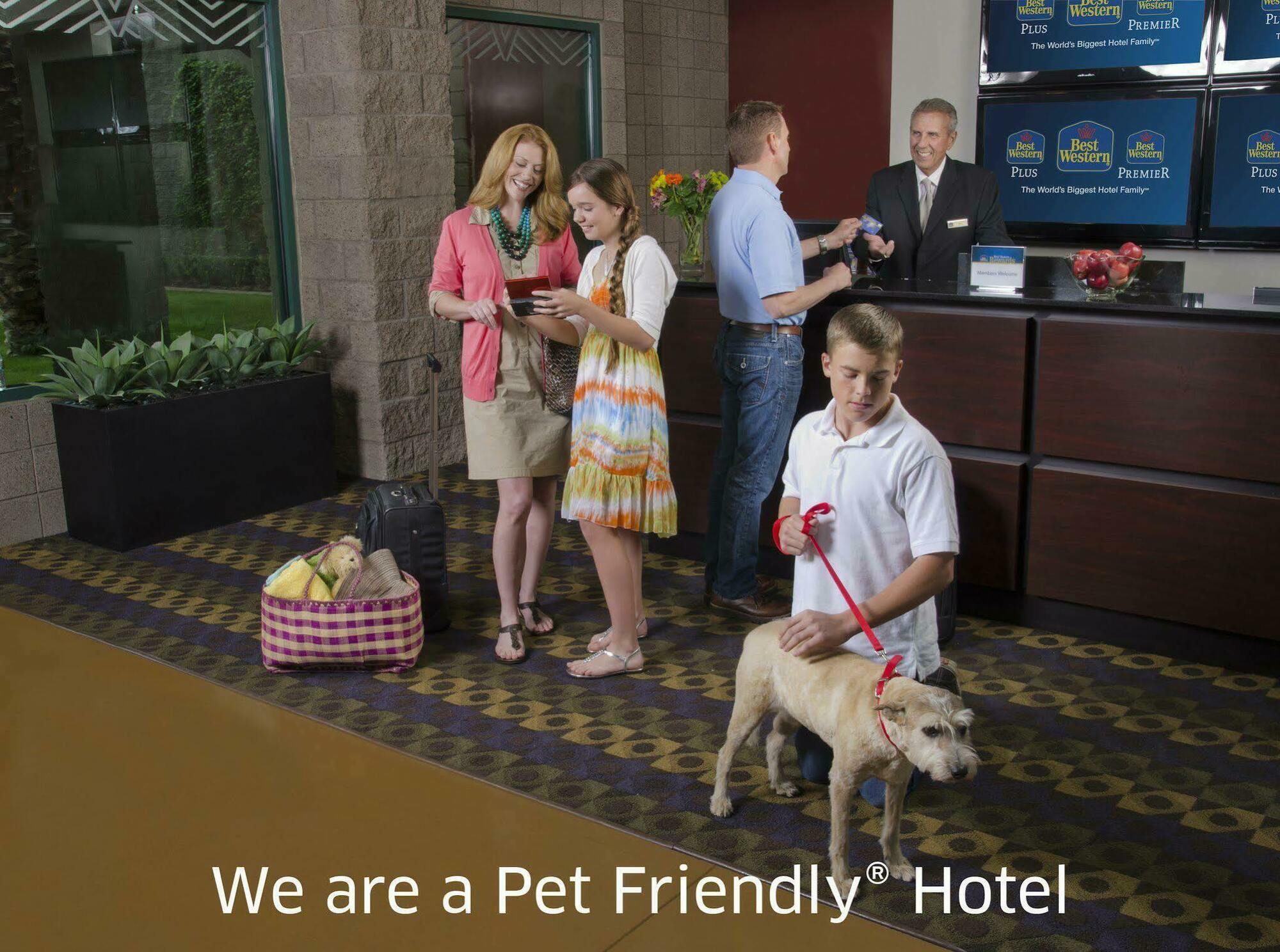 Best Western New Baltimore Inn West Coxsackie Kültér fotó